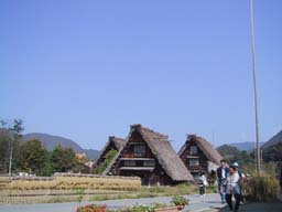のどかな白川郷