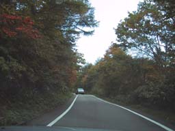 国道３６０号