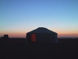 夕日をバックにしたゲル