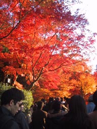 銀閣寺