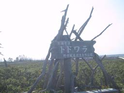 トドワラ看板