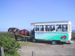 馬車