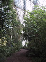 植物園の中