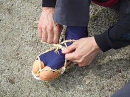 草鞋を履く！