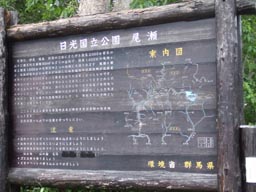 鳩待峠