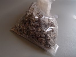 機内にて???状態で撮影